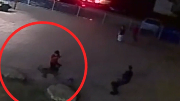 תיעוד: כלב תקיפה משטרתי הסתער על בן 10 - ופצע אותו בינוני