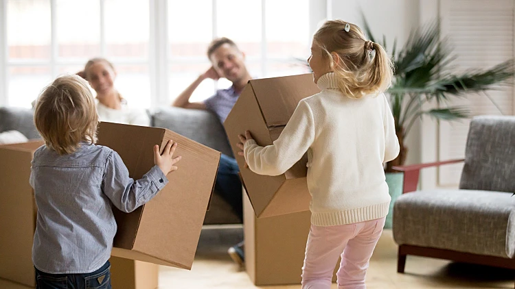 איך אתר המובילים בישראל מוזיל לכם את ההובלה – הדרך שלכם לשלם פחות | רשת 13