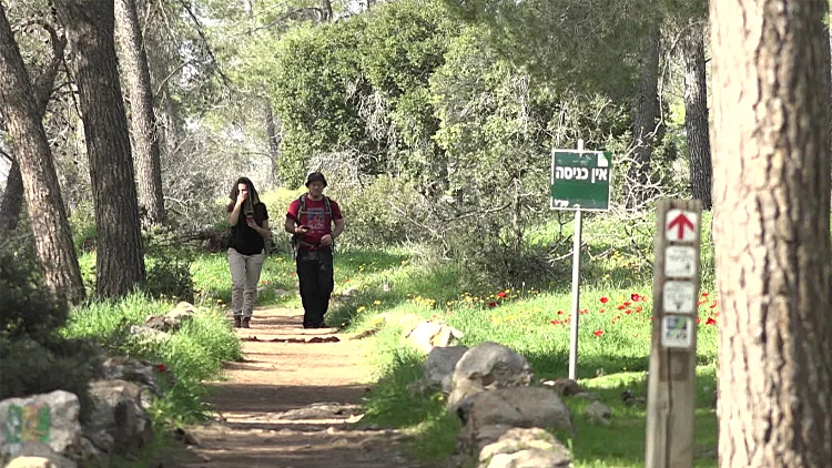 כישלון הסגר: מטיילים צפצפו על המחסומים, מרכזי הקניות מורדים