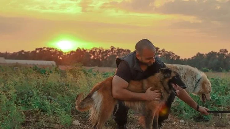מיחידת עוקץ לחווה לאילוף כלבים | רשת 13