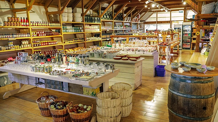 תמר בכפר – נקודת המפגש של הנופשים והמטיילים בצפון | רשת 13