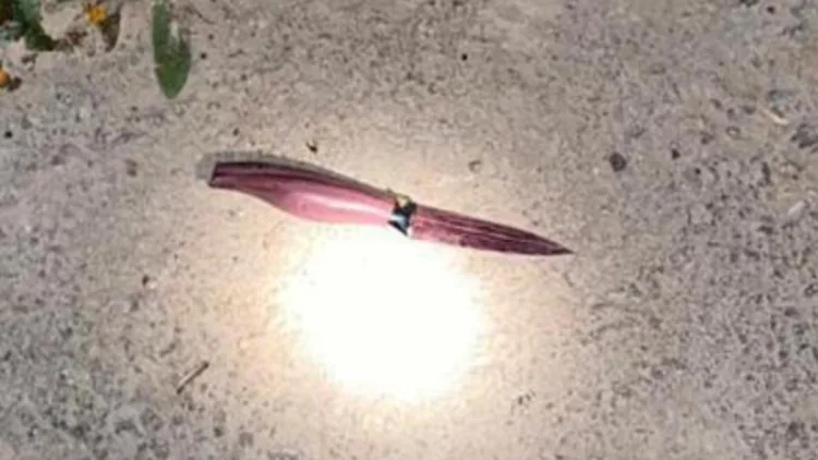 בתוך שעות: שני ניסיונות פיגוע דקירה בגדה - המחבלים נוטרלו