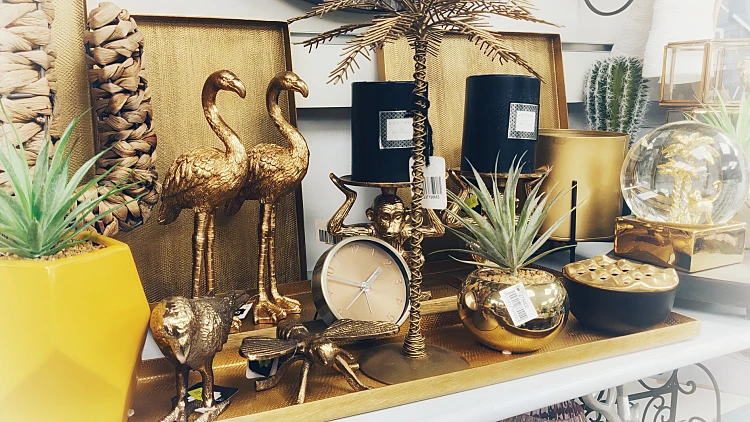 עפרוני – עולם ומלואו לילדים ומבוגרים | רשת 13