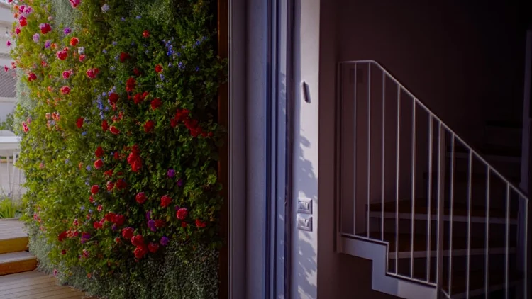 מביאים את הטבע הביתה | רשת 13