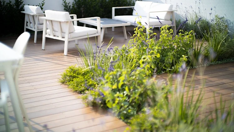 ירוק וצומח במרפסת, ואטרו אדריכלות נוף