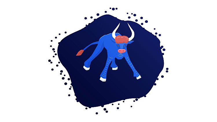 הורוסקופ | מזל שור | 20/4 – 20/5| רשת 13