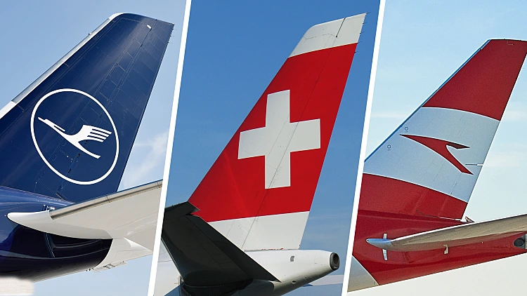 2021 03 18 Tails Collage Lh Lx