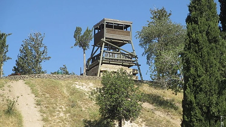 סיור בנהלל