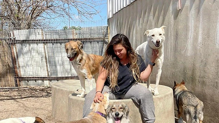 Mor's Dogs: לכלב שלך מגיע את הפנסיון הטוב ביותר | רשת 13