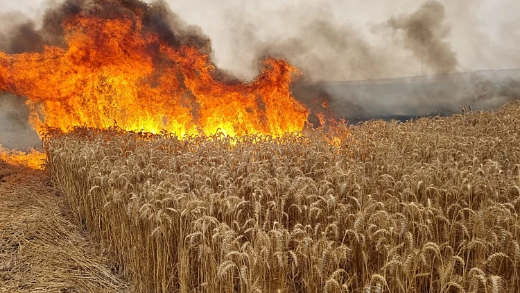 טרור הבלונים: 39 שריפות פרצו משעות הבוקר ביישובי העוטף