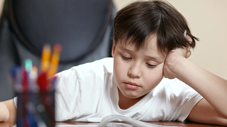 School Boy Studies Hard Over His Book At Home.