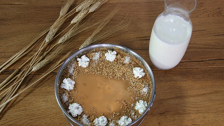 עוגת גבינת קרמל של אסתי גלאסווין | רשת 13