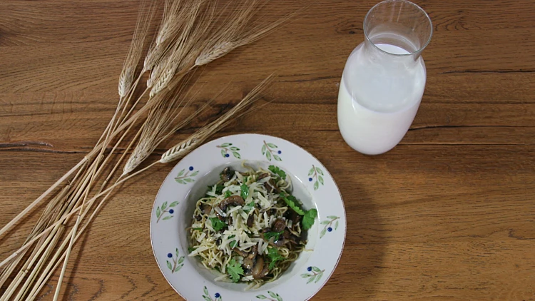 פסטה פטריות חריפה של אפרת גייכמן | רשת 13