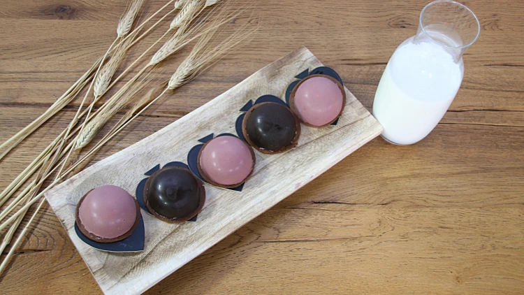 מוס דובדבן של גלינה שוורצמן | רשת 13