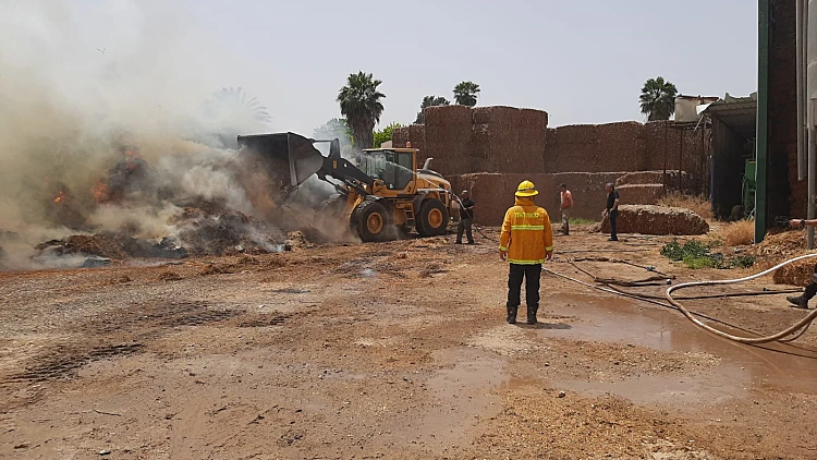 בשל עומס החום הקיצוני: גל שריפות ברחבי הארץ