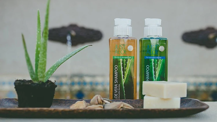 מוצרי אלוורה מבית JUST ALOE
