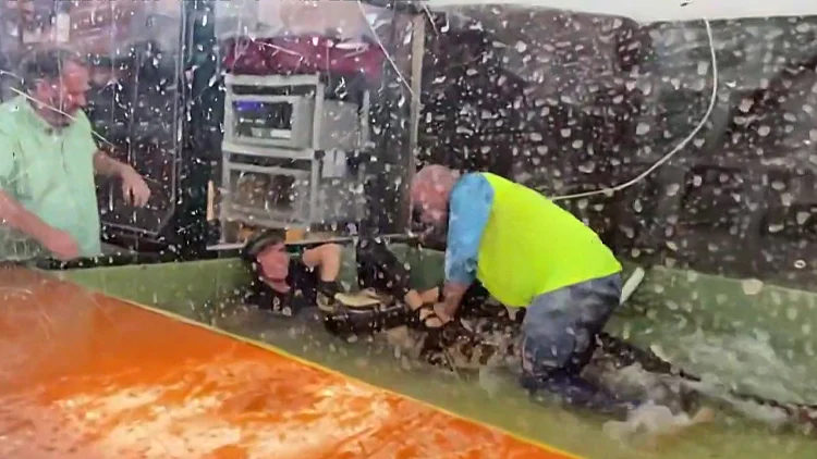 תיעוד: האב שקפץ לכלוב והציל את חייה של המטפלת בגן החיות