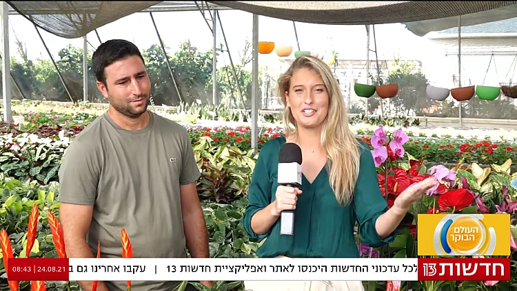 רגע לפני החגים - איך מסתדרות המשתלות בעוטף עזה?