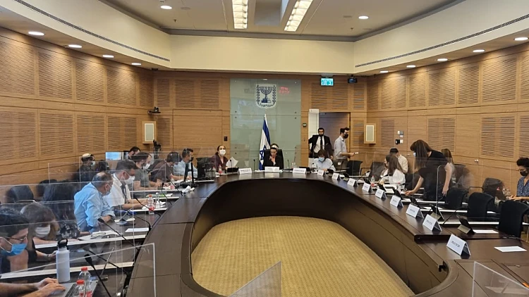 דיון מיוחד בכנסת על מצב בתי החולים הפסכיאטריים