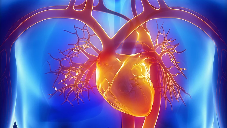 כך תדעו האם אתם בסיכון לעבור התקף לב | רשת 13