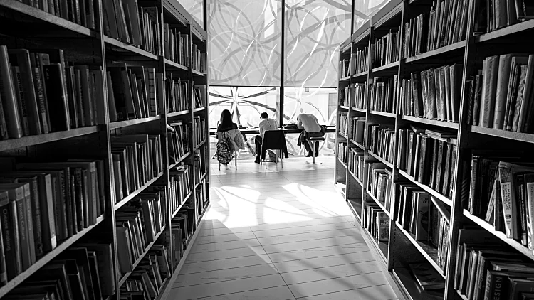 המקצועות המובילים שיוציאו את הצד היצרתי שבך