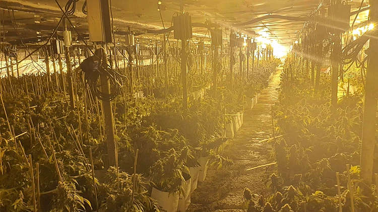 "15 מיליון שקל": מעבדת הידרו בגודל דונם וחצי נמצאה במנהרה