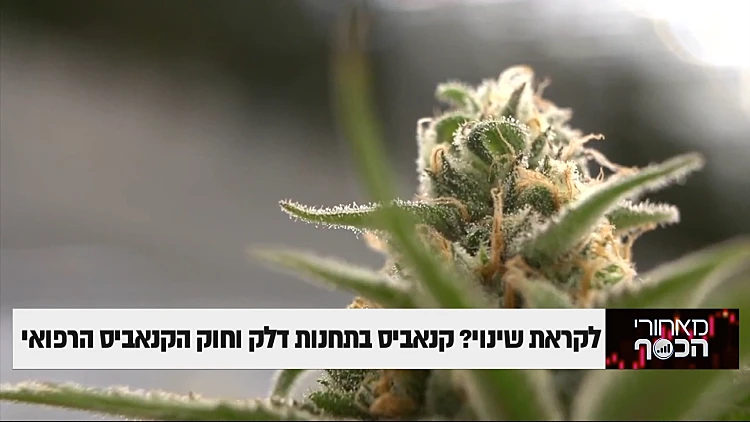 לקראת שינוי? קנאביס בתחנות דלק וחוק הקנאביס הרפואי