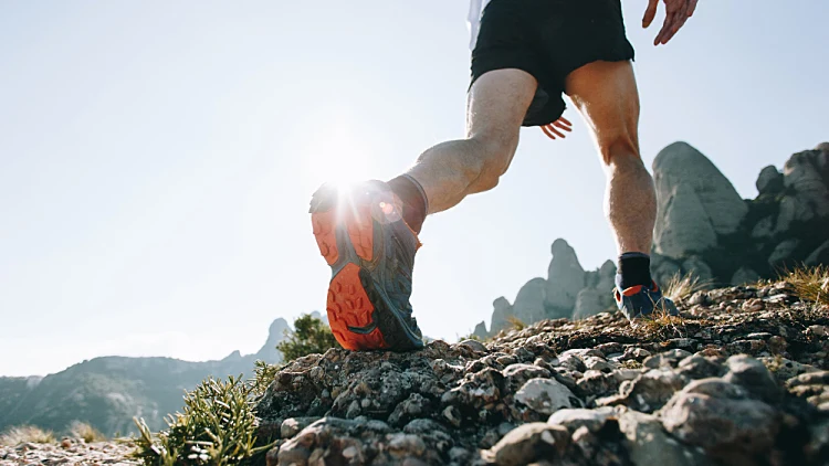 מאיירס אתר הנעליים של ישראל! | רשת 13