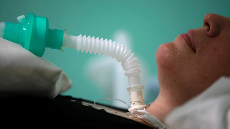 הולנד חוקרת: 33 בני אדם מתו מ"אבקת התאבדות"