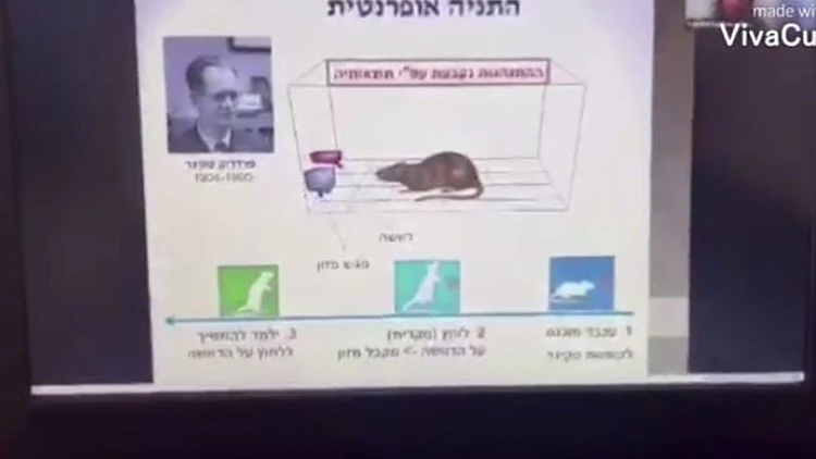 "הנה הערבי המסריח": סטודנטית קיללה סטודנט בדואי בהרצאת זום