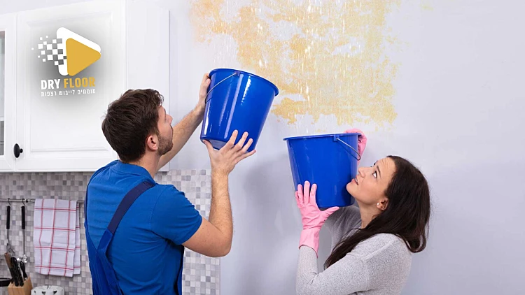 סובלים מרטיבות בבית? עובש בקירות? בעזרת הטכנולוגיה המתקדמת של דריי פלור נאתר את הנזילה שלך במהירות | רשת 13