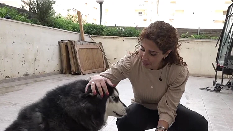 תיעוד: האיחוד המרגש בין סיגלית לכלבה בלו שנגנבה מחצר הבית