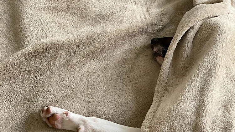 Photo by vadim kaipov on Unsplash