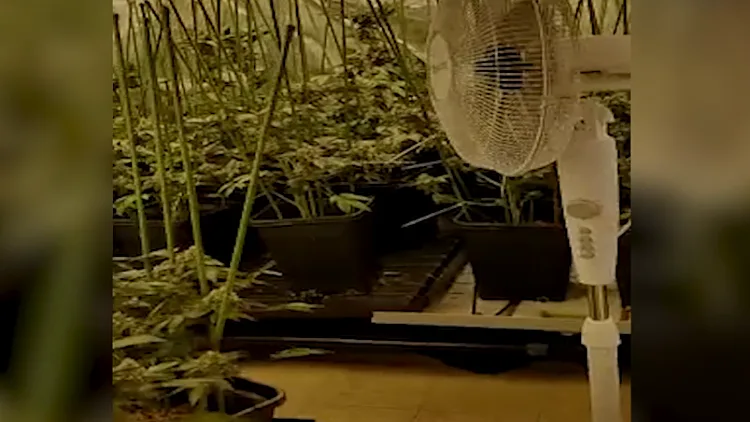 58 ק"ג של סמים נתפסו בדירה בבת ים – שני חשודים נעצרו | חדשות 13