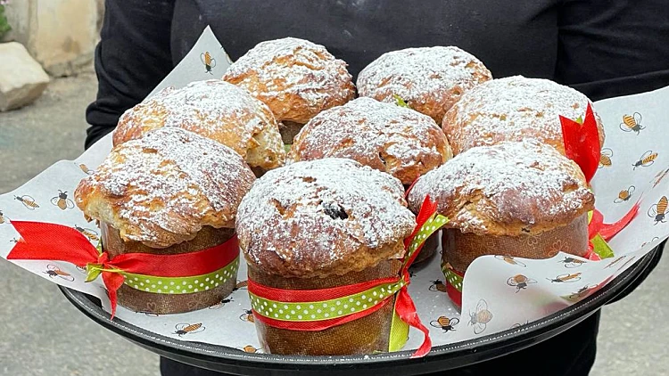 Whatsapp Image 2021 12 14 At 1