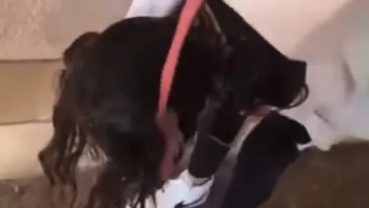 "היא מרגישה מושפלת": בנות כיתה ח' תיעדו התעללות בתלמידה - ועוכבו לחקירה