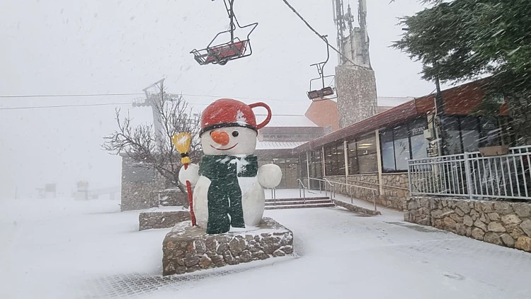 כרמל עדיין כאן: היום ימשיך להיות גשום בעיקר בצפון, השיא - ברביעי