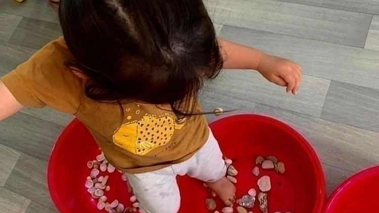 הפעוטות של מירה