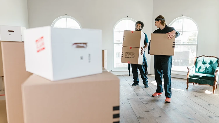 הובלות באביב – החברה מספר 1 בתל אביב | רשת 13