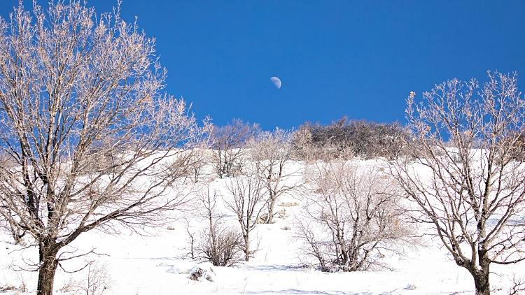 התחזית: שבת גשומה וקרה - שלג יוסיף לרדת בחרמון