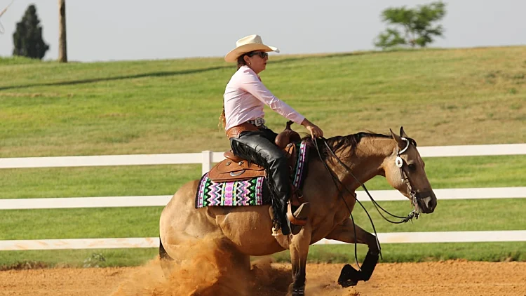 בזמן רכיבה All4horses