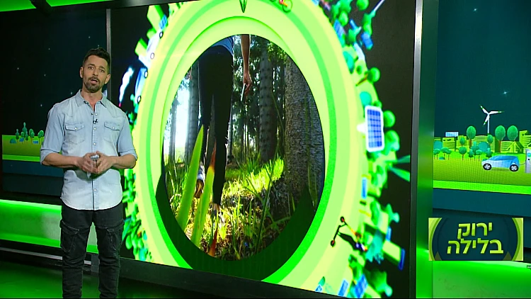 ירוק בלילה עם ינון מילס | 27.01.22