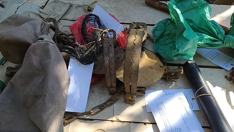 נעצרו חשודים בהתעללות חמורה בבע"ח: "כרתו איברים ושיסו בהם כלבים"