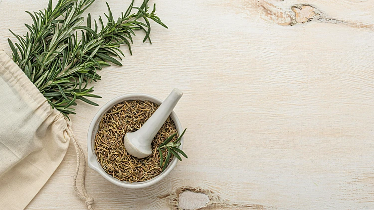 טל לייק, מתמחה בנטורופתיה, משתפת בראיון מרתק: "הנטורופתיה שינתה את חיי, זו דרך חיים" | רשת 13