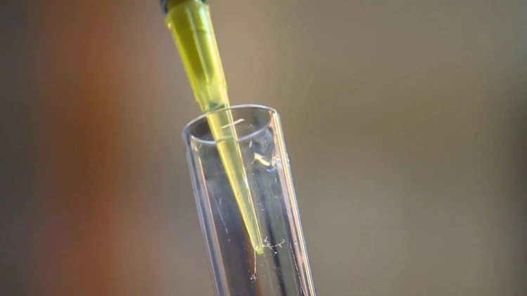 הוועדה הבינ"ל למניעת סמים בספורט: "ננקוט סנקציות נגד ישראל"