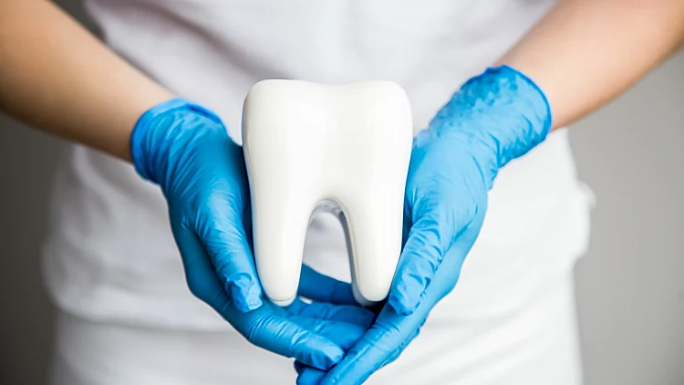 כל מה שרציתם לדעת על רפואת הפה  | רשת 13