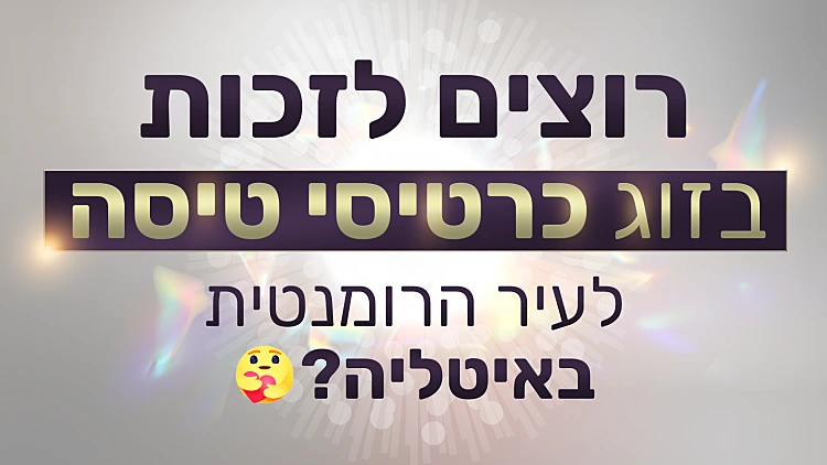 אהבה חדשה, פעילות