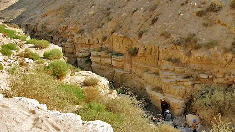 כ-40 תלמידים אבדו בנחל סמוך לים המלח אותרו בריאים ושלמים