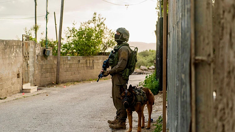 המאבק בטרור: חילופי אש בג'נין עקב כניסת צה"ל, 20 מבוקשים נעצרו