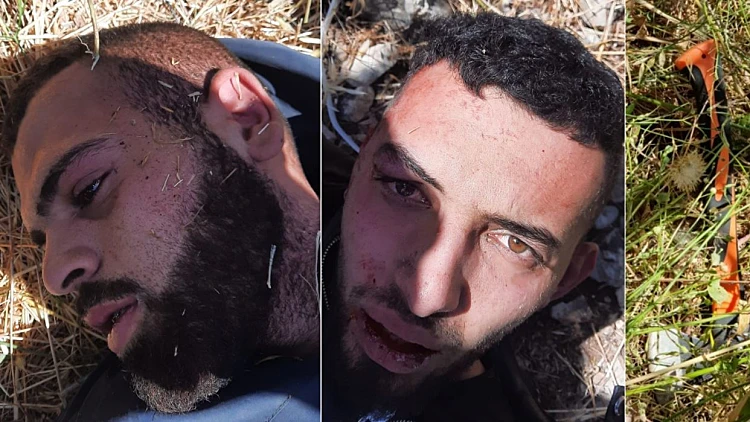 הסתתרו וישנו בשיחים עד ללכידתם: פרטים חדשים מתפיסת המחבלים באלעד